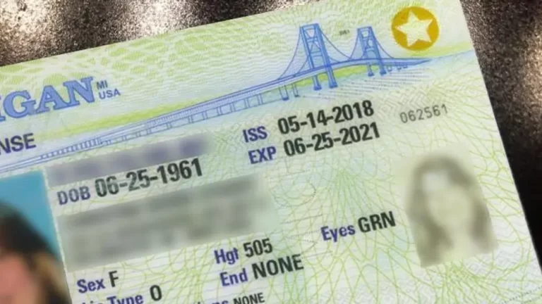 Cómo verificar el estado de la licencia de conducir en Michigan