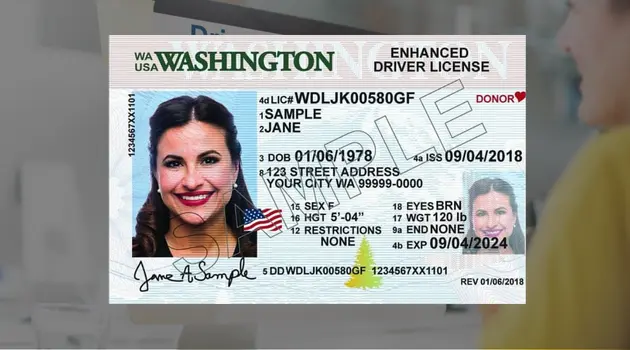 Cómo verificar el estado de la licencia de conducir de Washington